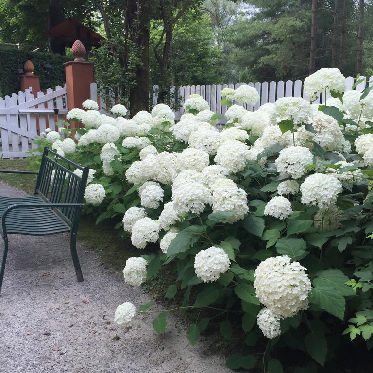B&B Il Quadrifoglio Sciolze 外观 照片