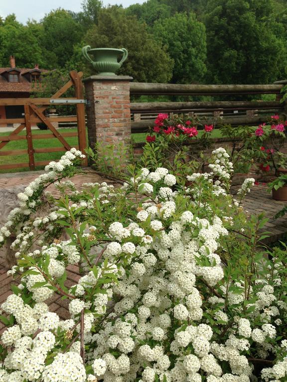 B&B Il Quadrifoglio Sciolze 外观 照片