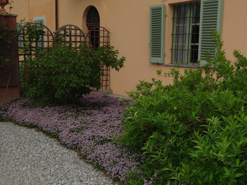 B&B Il Quadrifoglio Sciolze 外观 照片